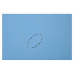 玉鎖 10本1組 サイズ:B-S 2.3mmφ×300mm (170021)