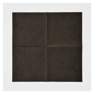 静電気除去シート デンキトール ワイピングクロス 250×250mm (354040)