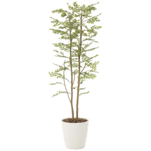 光触媒 人工観葉植物 造花 ゴールデンリーフ 1.8 (高さ180cm) (155P450)