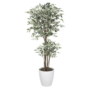 光触媒 人工観葉植物 造花 トロピカルベンジャミン斑入り 1.6 (高さ160cm) (166Ｋ480)