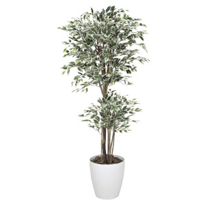 光触媒 人工観葉植物 造花 トロピカルベンジャミン斑入り 1.8 (高さ180cm) (167Ｋ600)