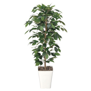 光触媒 人工観葉植物 造花 フィカスベンジャミン 1.2 (高さ120cm) (189K180)