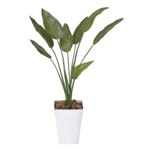 光触媒 人工観葉植物 造花 ストレチア 1.1 (高さ110cm) (196P230)