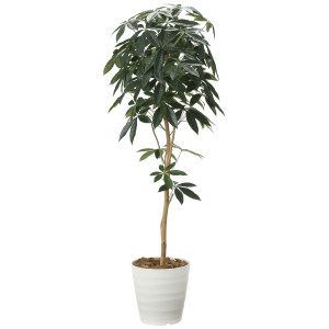 光触媒 人工観葉植物 造花 デザインパキラ1.6 (高さ160cm) (2008P270)