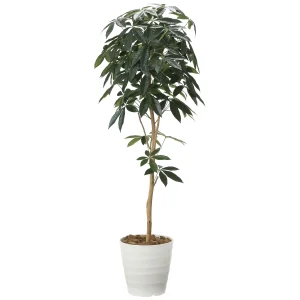 光触媒 人工観葉植物 造花 デザインパキラ1.6 (高さ160cm) (2008P270)