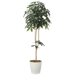 光触媒 人工観葉植物 造花 デザインパキラ1.8 (高さ180cm) (2009P310)