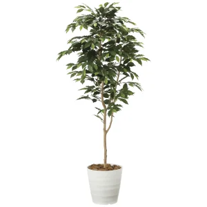 光触媒 人工観葉植物 造花 ベンジャミン1.6 (高さ160cm) (2015A250)