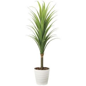 光触媒 人工観葉植物 造花 ドラセナ1.8(ポリ製) (高さ180cm) (2019A350)