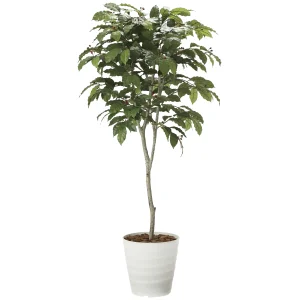 光触媒 人工観葉植物 造花 コーヒーツリー1.8 (高さ180cm) (2020A580)