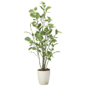 光触媒 人工観葉植物 造花 ポリシャス1.15 (高さ115cm) (2028A180)