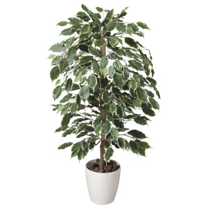 光触媒 人工観葉植物 造花 ゴールデンフィカス 1.0 (高さ100cm) (202A150)