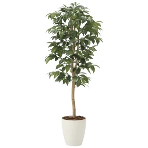 光触媒 人工観葉植物 造花 アルデシア(万両)1.3 (高さ130cm) (2033A200)