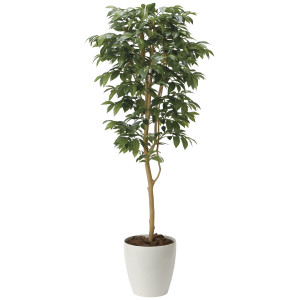 光触媒 人工観葉植物 造花 アルデシア(万両)1.6 (高さ160cm) (2034A300)