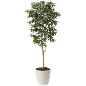 光触媒 人工観葉植物 造花 アルデシア(万両)1.6 (高さ160cm) (2034A300)