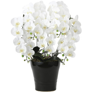 光触媒 人工観葉植物 造花 フレッシュ胡蝶蘭 5本立W (高さ72cm) (2044P220)