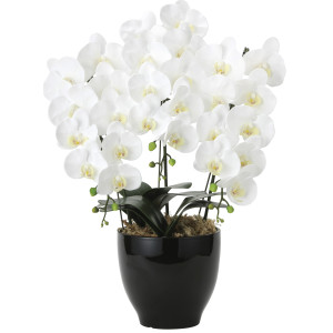 光触媒 人工観葉植物 造花 フレッシュ胡蝶蘭 3本立W (高さ66cm) (2045P175)