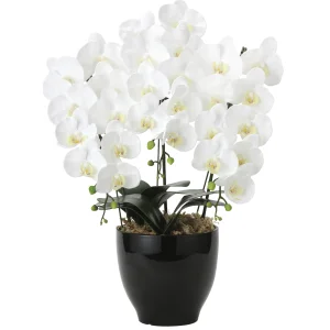 光触媒 人工観葉植物 造花 フレッシュ胡蝶蘭 3本立W (高さ66cm) (2045P175)