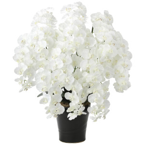 光触媒 人工観葉植物 造花 プレミアム胡蝶蘭10本立W (高さ90cm) (2046A350)