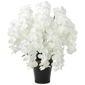 光触媒 人工観葉植物 造花 プレミアム胡蝶蘭10本立W (高さ90cm) (2046A350)