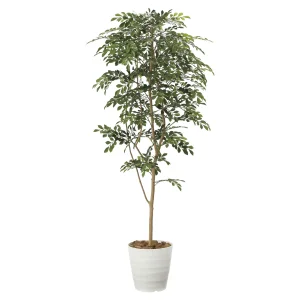 光触媒 人工観葉植物 造花 トネリコ1.8 (高さ180cm) (2094P380)