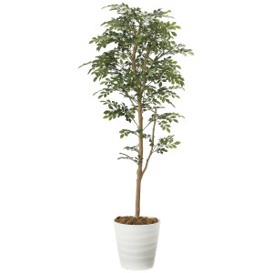 光触媒 人工観葉植物 造花 トネリコ 1.6 (高さ160cm) (2107P320)