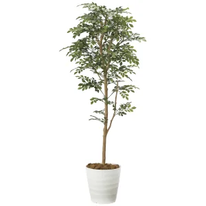 光触媒 人工観葉植物 造花 トネリコ 1.6 (高さ160cm) (2107P320)