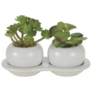 光触媒 人工観葉植物 造花 ダブル多肉ポットB(ポリ製) (高さ10cm) (2110A25)
