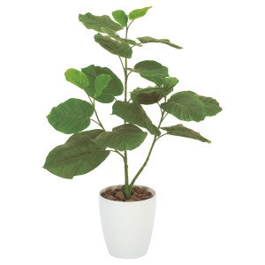 光触媒 人工観葉植物 造花 ウンベラ―タ80 (高さ80cm) (211A100)
