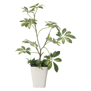 光触媒 人工観葉植物 造花 シェフレラ (高さ68cm) (212R70)
