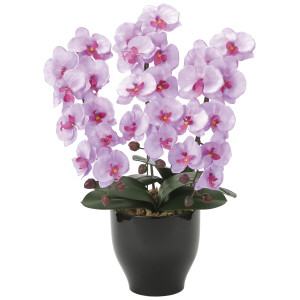 光触媒 人工観葉植物 造花 胡蝶蘭セリースL (高さ66cm) (21K120)