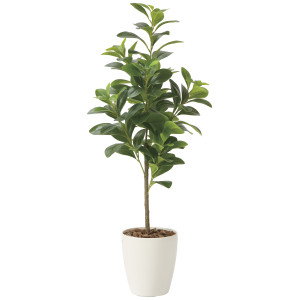 光触媒 人工観葉植物 造花 フレッシュマネーツリー90 (高さ90cm) (2224A120)