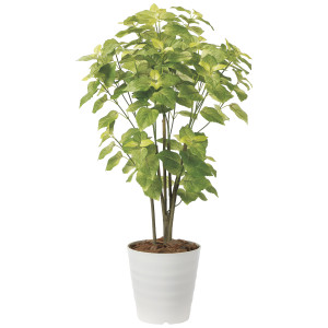 光触媒 人工観葉植物 造花 ペリーラ1.0 (高さ100cm) (2225A150)