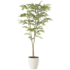 光触媒 人工観葉植物 造花 ライトトネリコ1.6 (高さ160cm) (2231R340)