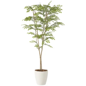 光触媒 人工観葉植物 造花 ライトトネリコ1.6 (高さ160cm) (2231R340)