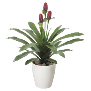 光触媒 人工観葉植物 造花 マガベ花付(ポリ製) (高さ67cm) (223R70)