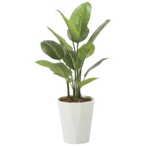 光触媒 人工観葉植物 造花 フレッシュスキンダプサス1.0 (高さ100cm) (2240A160)