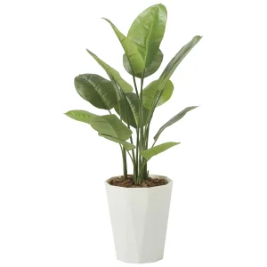 光触媒 人工観葉植物 造花 フレッシュスキンダプサス1.0 (高さ100cm) (2240A160)