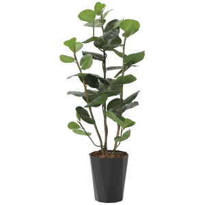 光触媒 人工観葉植物 造花 シーグレープDX1.25 (高さ125cm) (2243R250)