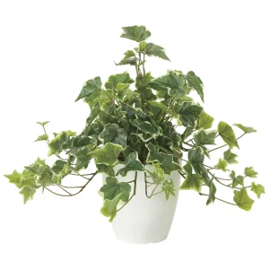 光触媒 人工観葉植物 造花 フレッシュ斑入りアイビー (高さ36cm) (2253A50)