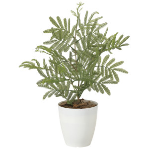 光触媒 人工観葉植物 造花 ねむの木(ポリ製) (高さ50cm) (2254A50)