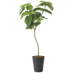 光触媒 人工観葉植物 造花 フレッシュデザインウンベラータ1.8 (高さ180cm) (2258R420)