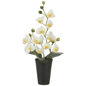 光触媒 人工観葉植物 造花 ミニコチョウラン (高さ46cm) (2260A50)