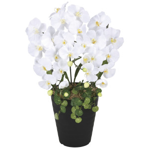 光触媒 人工観葉植物 造花 プリンセス胡蝶蘭W (高さ58cm) (2266R70)