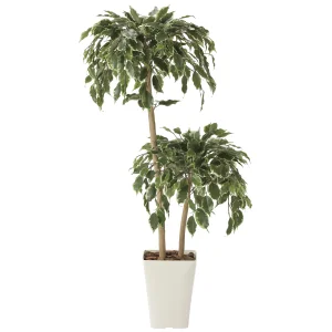 光触媒 人工観葉植物 造花 ゴールデンフィカスダブル1.2 (高さ120cm) (2282A200)