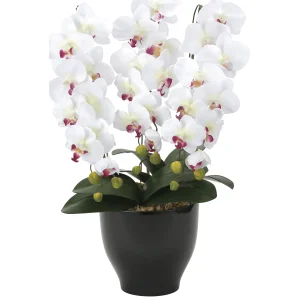 光触媒 人工観葉植物 造花 胡蝶蘭セリースW/AB (高さ66cm) (22K120)