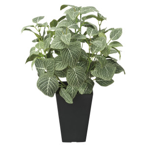 光触媒 人工観葉植物 造花 フィットニア(フロック加工) (高さ43cm) (230A50)