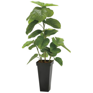 光触媒 人工観葉植物 造花 フレッシュDXスリムウンベラータ1.2 (高さ120cm) (2326A300)