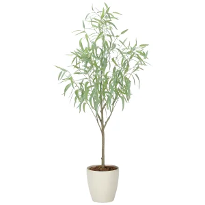 光触媒 人工観葉植物 造花 フレッシュシルバーユーカリ1.7 (高さ170cm) (2330A500)