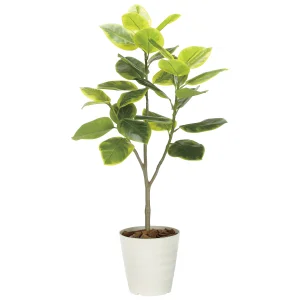 光触媒 人工観葉植物 造花 フレッシュアルテシマ1.65 (高さ165cm) (2333A350)