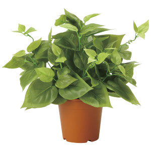 光触媒 人工観葉植物 造花 ライムポトス (高さ37cm) (2346A50)